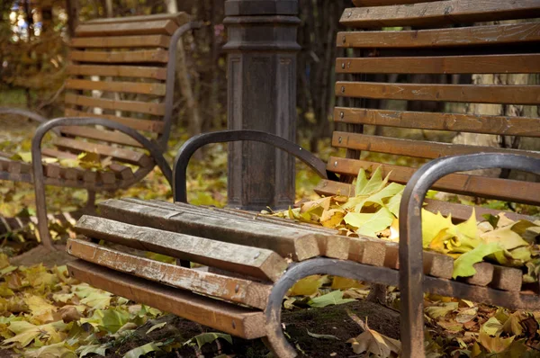 Bench with yellow leaves. — Stock Photo, Image