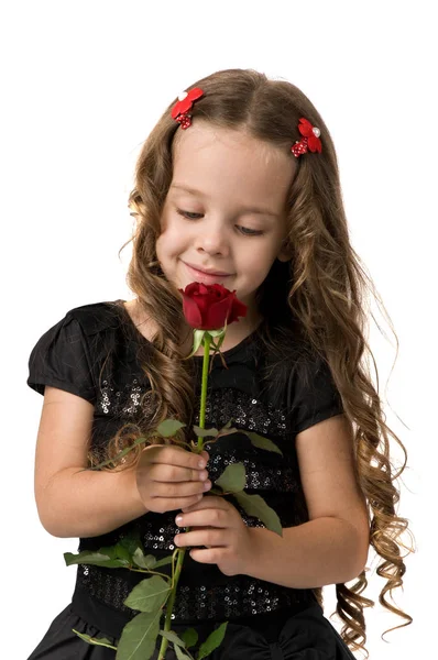 Niña sosteniendo una rosa roja fresca . — Foto de Stock