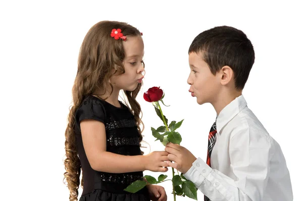 Chico le da flores a una chica. chico besa a una chica — Foto de Stock
