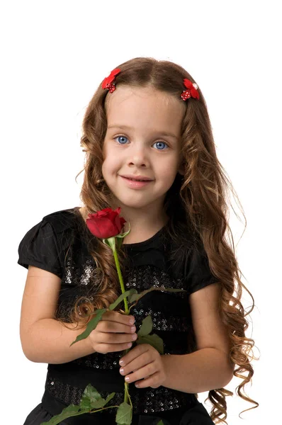 Menina segurando uma rosa vermelha fresca . — Fotografia de Stock