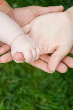 Anne çocuğun el eller.