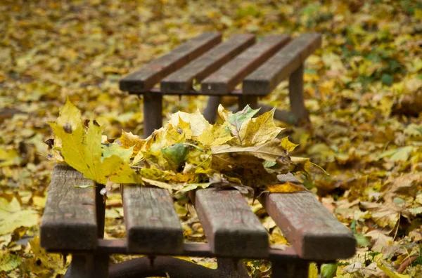 Bank mit gelben Blättern. — Stockfoto
