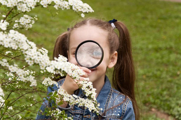 Liten flicka utforskar naturen genom ett förstoringsglas — Stockfoto