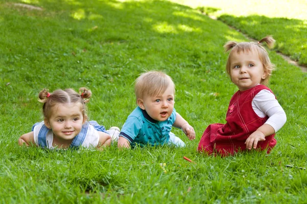 Grupo de niños pequeños que pasan tiempo en la naturaleza . — Foto de Stock