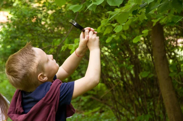 Mały chłopiec odkrywa naturę przez lupę. — Zdjęcie stockowe