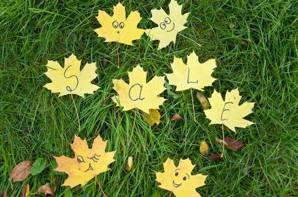 Gele bladeren liggen op gras. herfst. — Stockfoto