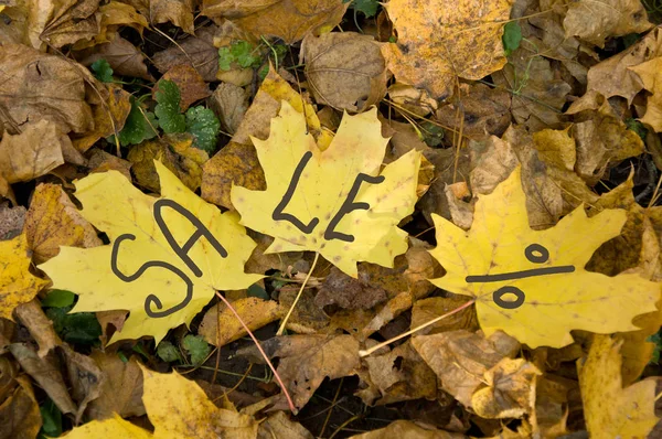 Κίτρινα φύλλα με την πώληση. Φθινοπωρινές εκπτώσεις και τις πωλήσεις. — Φωτογραφία Αρχείου
