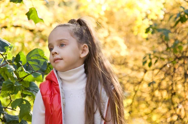 Barnet går i parken . – stockfoto