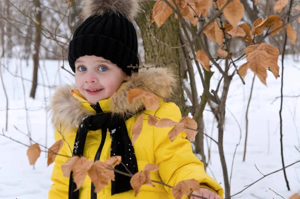 Menina brincando na neve no inverno . — Fotografia de Stock