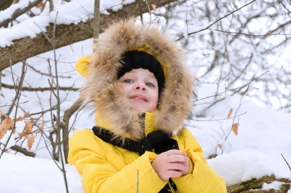 Kislány télen játszani a hóban. — Stock Fotó