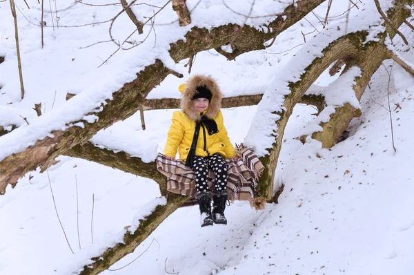 Menina brincando na neve no inverno . — Fotografia de Stock