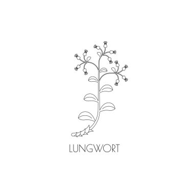 lungwort anahat simgesini