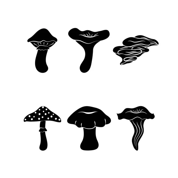 Diferentes tipos de cogumelos — Vetor de Stock