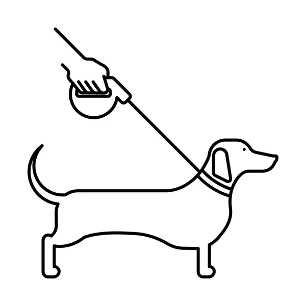 Leine-Symbol Hundedackel — Stockvektor