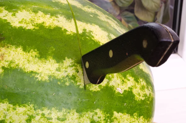 Kitchen Knife stuck into fresh melon isolated on white Background. — Stock Photo, Image