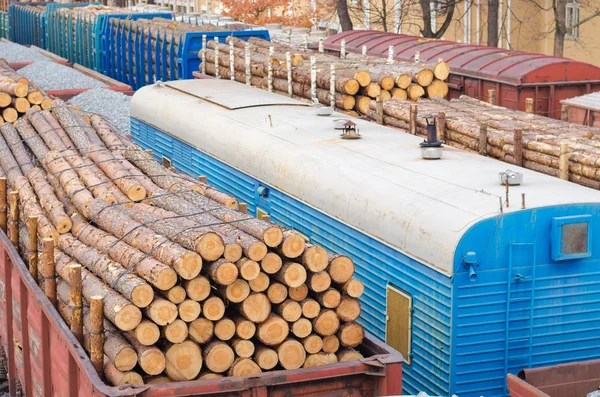 Ambiente, natureza e floresta de desmatamento - derrubada de árvores. O conceito de um problema global. Comboio de carga carregado com troncos de pinho . — Fotografia de Stock