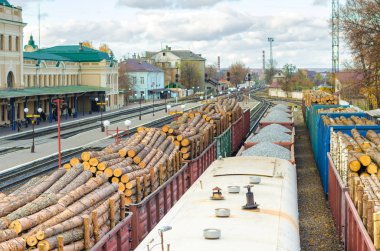 Çevre, doğa ve ormansızlaşma orman - ağaç Gaze. Küresel bir sorun kavramı. Yük treni çam Mayo ile yüklü.