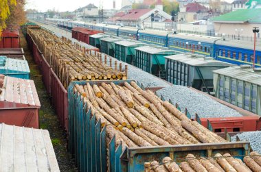 Çevre, doğa ve ormansızlaşma orman - ağaç Gaze. Küresel bir sorun kavramı. Yük treni çam Mayo ile yüklü.