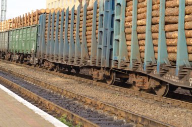 Yük treni çam Mayo ile dolu. Çevre, doğa ve ormansızlaşma orman - ağaç Gaze. Küresel bir sorun kavramı.