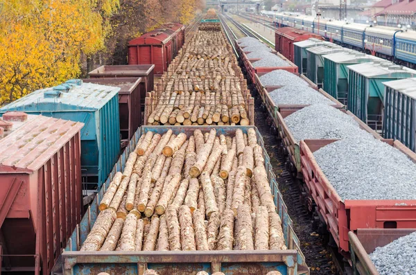 Çevre, doğa ve ormansızlaşma orman - ağaç Gaze. Küresel bir sorun kavramı. Yük treni çam Mayo ile yüklü.