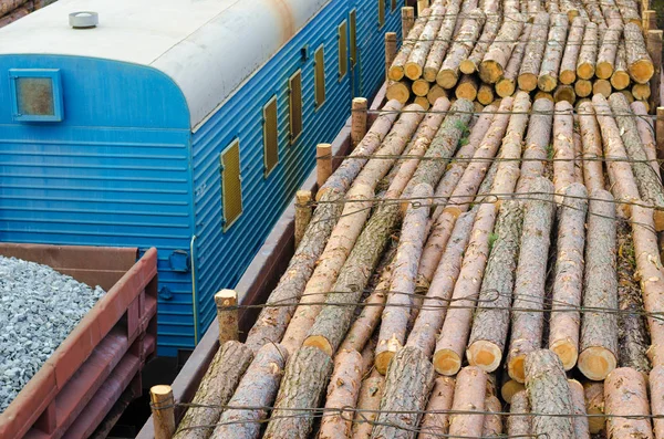 Ambiente, natureza e floresta de desmatamento - derrubada de árvores. O conceito de um problema global. Comboio de carga carregado com troncos de pinho . — Fotografia de Stock