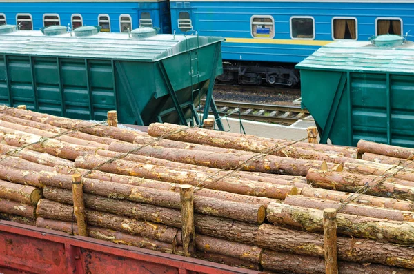 Ambiente, natureza e floresta de desmatamento - derrubada de árvores. O conceito de um problema global. Comboio de carga carregado com troncos de pinho . — Fotografia de Stock