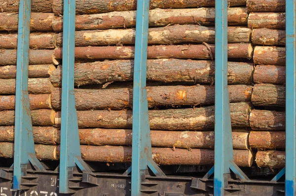 Comboio de carga carregado com troncos de pinho. Ambiente, natureza e floresta de desmatamento - derrubada de árvores. O conceito de um problema global . — Fotografia de Stock