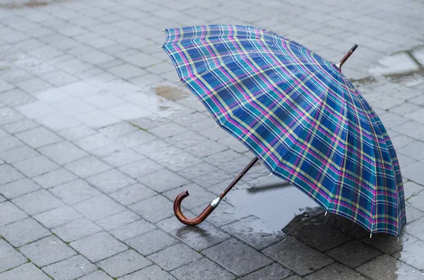 Blå, stilig, våt paraply i regnet på brosteinene med sølepytt . – stockfoto