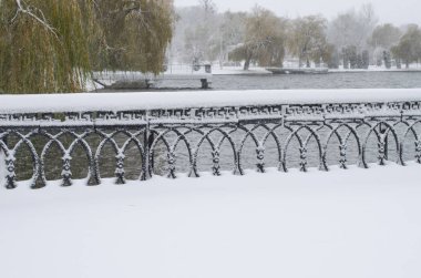Şehir Parkı donmuş gölde Panoraması. Instagram tonlama.