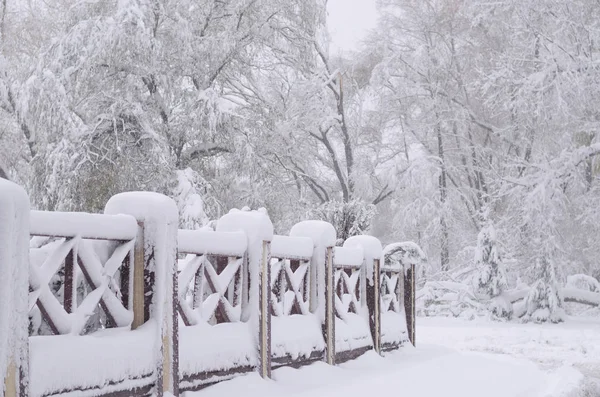 snow on a wooden fence as a forrest background image.