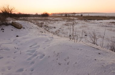 Frost ile kış alan manzara yumuşak günbatımı ışığı - karlı manzara sahne karla kaplı alan ve ağaçları ile sıcak tonlarda tarafından yaktı ayaz ağaçları ile kaplı.