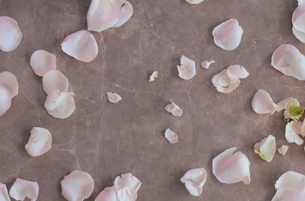 Rose petals on the marble floor background