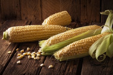Tahta masadaki koçanlarda taze mısır.