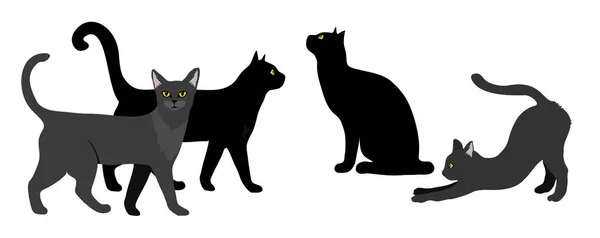 Jogo de gato preto. Vetor de silhueta Black Cat isolado na ilustração branca — Vetor de Stock