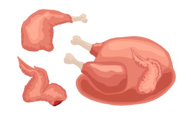 Beyaz arka planda çiğ tavuk. Yan görüş. Farklı tavuk eti parçaları içeren renkli tavuk eti simgesi.