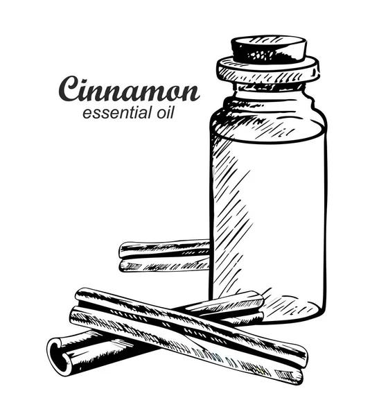 Huile essentielle de cannelle en bouteille de verre. Illustration vectorielle de bâtonnets d'huile aromatique et de cannelle en croquis . — Image vectorielle