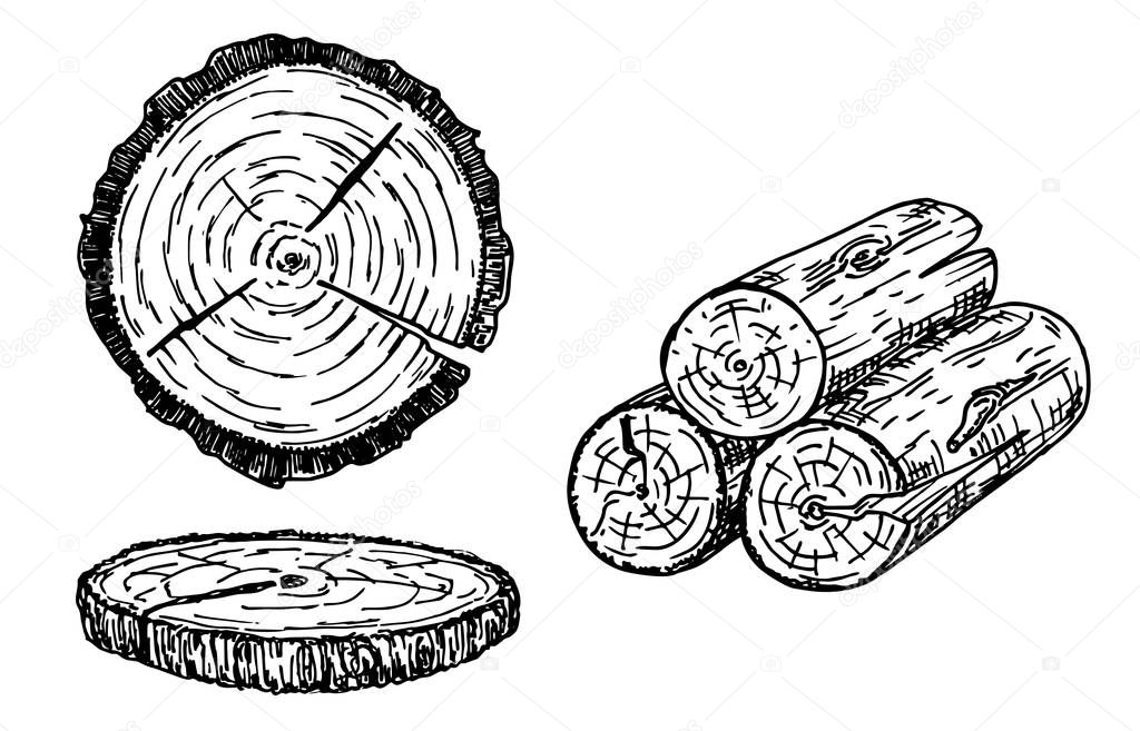 Wood logs, trunk sketch illustration. Hand drawn wooden materials. Firewood sketch set. Annual rings on a tree cut. Wood stumps