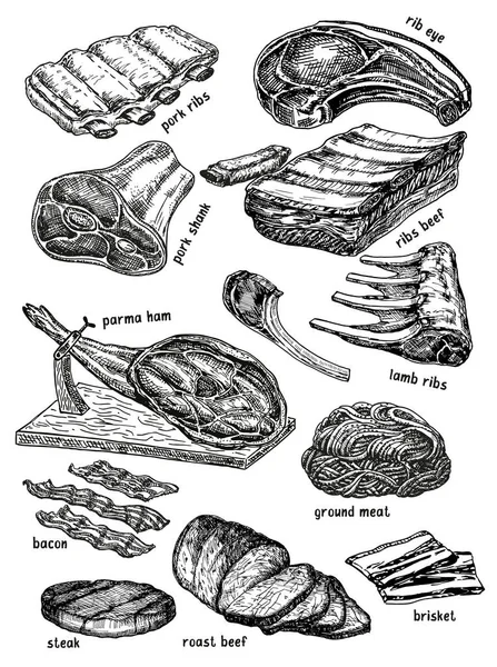 Juego de dibujo de vector de carne cruda. Carne de res elaborada a mano, jamón de cerdo, rosbif, filete, costilla de cordero. Ingrediente alimentario crudo . — Archivo Imágenes Vectoriales