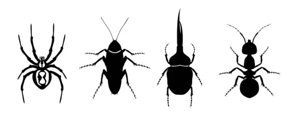 Silhouette of insects. Spider, cockroach, beetle and ant. Beetles icons set. — Stock Vector