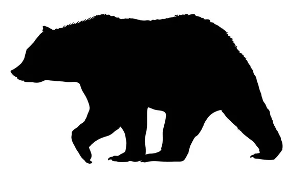 Silueta de oso vector aislada sobre fondo blanco — Archivo Imágenes Vectoriales