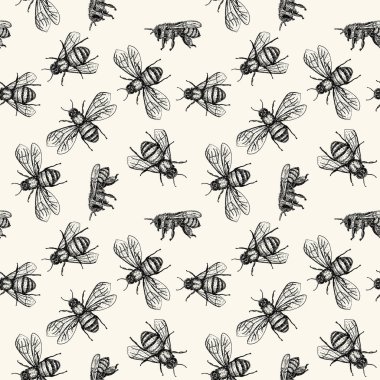 Bal arısıyla vektör kusursuz desen. İşleme stili. El çizimi böcek arka planı. Bal endüstrisi için klasik çizim, ambalaj tasarımı, kumaş, etiket, kumaş örneği.