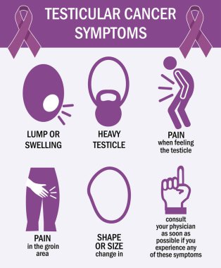 Testicular cancer symptoms infographics. Pictogram icons. vector clipart