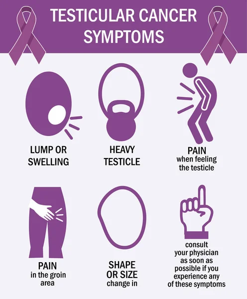 Testicular cancer symptoms infographics. Pictogram icons. vector