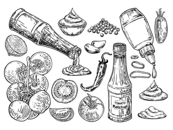 Ескіз кетчупу. Інгредієнти, з яких готується кетчуп. Кетчупська пляшка з помідорами. Традиційна пляшка томатного кетчупу ізольована на білому тлі. Набір ескізів інгредієнтів швидкого харчування . — стоковий вектор