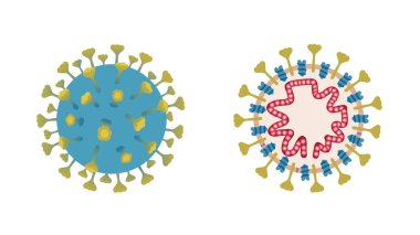 Coronavirus görünümü ve iç yapısı. Coronavirus hücresi. Patojen solunum yolu koronavirüsü, tehlikeli Çin koronavirüsü, Sars salgını riski alarmı.
