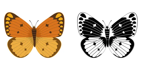 Bunte und schwarze Silhouette Schmetterling isoliert auf weißem Hintergrund. Illustration von Insekten. Schmetterlingsikone. — Stockvektor