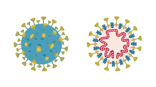 Penampilan Coronavirus dan struktur internal. Sel Coronavirus. Koronavirus pernapasan patogen, coronavirus cina berbahaya, peringatan bahaya pandemi SARS - Stok Vektor