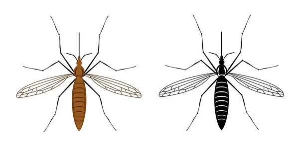 Barevná a černá silueta komára izolované na bílém pozadí. ilustrace hmyzu. Ikona Mosquito. — Stockový vektor