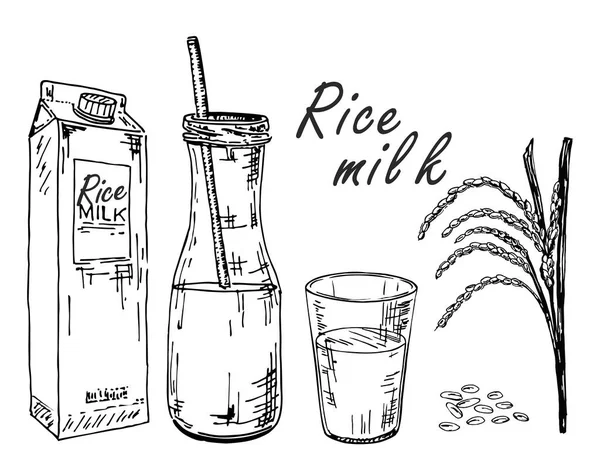 Leite de arroz. Esboço de leite vegetal. Leite de arroz em uma bolsa, em uma garrafa, em um copo. Spikes e arroz. Bebida matinal. Estilo de vida saudável. Bebida saudável do leite vegetal, produto dietético — Vetor de Stock