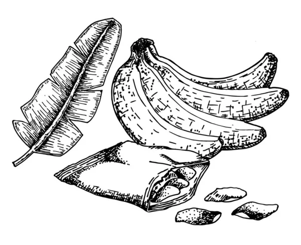 Set di chips di banana in stile schizzo disegnato a mano. Frutta, patatine alla banana, fette. Cibo biologico, raccolta di illustrazioni doodle vettoriali isolata su sfondo bianco . — Vettoriale Stock